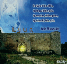 %C5%9Fu%C5%9Fa karabakh