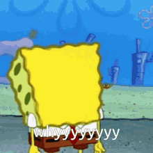 Whyyyy Spongebob GIF - Whyyyy Spongebob Shouting GIFs