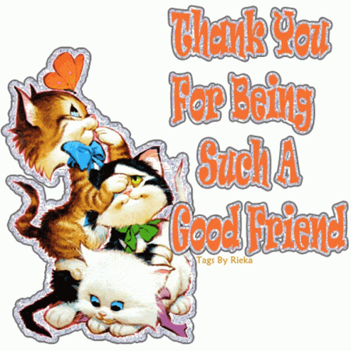 Thank You For Being Such A Good Friend GIF - Thank You For Being Such A Good Friend Cat GIFs