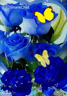 Blue Roses Flowers GIF - Blue Roses Rose Flowers GIFs