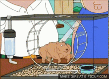 Buff Hamster Family Guy GIF - Buff Hamster Family Guy GIFs