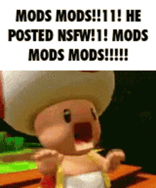 mods he posted nsfw