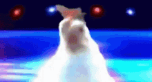 chicken dance disco chicken dance disco