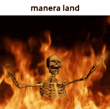 Manera Land GIF - Manera Land GIFs