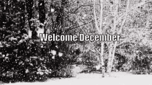 December Hello GIF - December Hello Welcome December GIFs