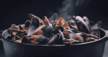 Steaming Mussels GIF - Mussels Steaming Cooking GIFs