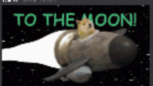 dogetomoon dogetomoon
