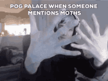 pog palace moths xqc
