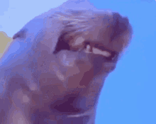 Grin Smiling GIF - Grin Smiling Smile GIFs