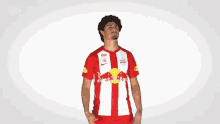 Come On Fc Red Bull Salzburg GIF - Come On Fc Red Bull Salzburg Andre Ramalho GIFs