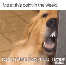 tired sucks