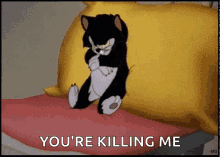 Not In The Mood Annoyed GIF - Not In The Mood Annoyed Cat GIFs