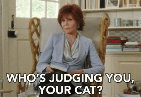Judge Judging GIF - Judge Judging Your Cat GIFs