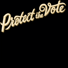 Protect The Vote Wisconsin Vrl GIF - Protect The Vote Wisconsin Vrl Wisconsin Voter GIFs