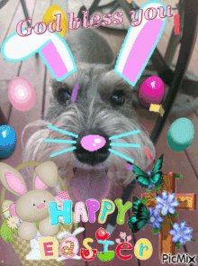 otto otto dog meme cult easter easter sunday otto otto dog meme cult easter easter sunday