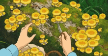 Picking Mushrooms Cartoon GIF - Picking Mushrooms Cartoon GIFs