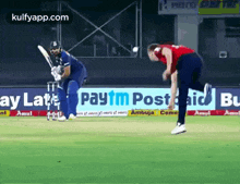 As Straight As Line.Gif GIF - As Straight As Line Gif Cricket GIFs