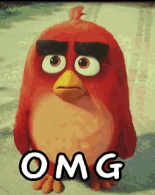 angry birds omg oh my god shocked face palm