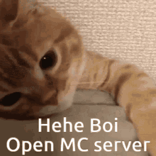 Kat Open Server GIF - Kat Open Server Mc Server Should Start GIFs