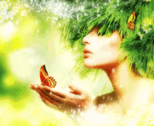 fantasy butterfly fairy