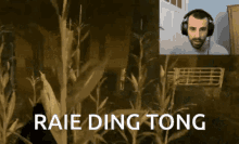Raie Ding Tong GIF - Raie Ding Tong GIFs