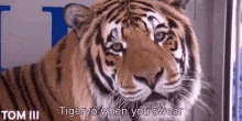 Tigeryo Swear GIF - Tigeryo Swear Language GIFs