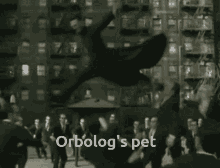 Orbolog Pet GIF - Orbolog Pet GIFs