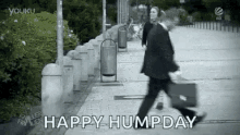 Happy Hump Day GIFs | Tenor