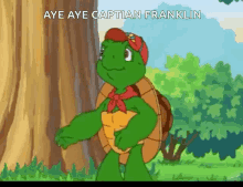 Hands Up Turtle GIF - Hands Up Turtle Aye Aye Captain Franklin GIFs