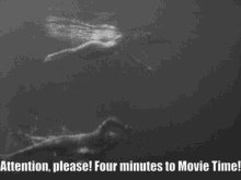 Movie Time Creature From The Black Lagoon GIF - Movie Time Creature From The Black Lagoon GIFs