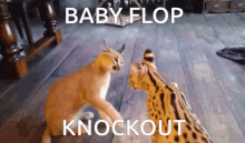 Big Floppa Floppa Knockout GIF - Big Floppa Floppa Knockout Baby Floppa GIFs