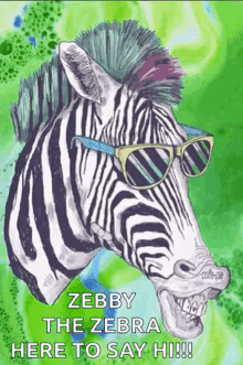 Donkey Zebra GIF - Donkey Zebra Shades GIFs
