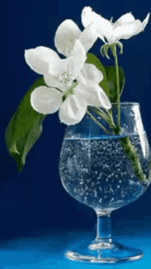 white flowers glass