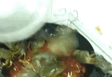 Crabs Cooking GIF - Crabs Cooking Fail GIFs