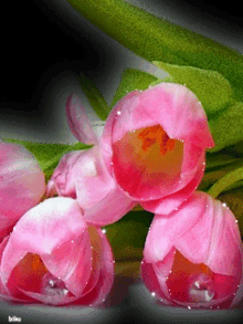 Pink Flower Glittering Pin GIF - Pink Flower Glittering Pin Pink Tulip GIFs