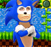 Gretchen Sonic GIF - Gretchen Sonic Gret Sonic GIFs