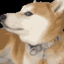 Doge Doge Meme GIF - Doge Doge Meme Doge Weird GIFs
