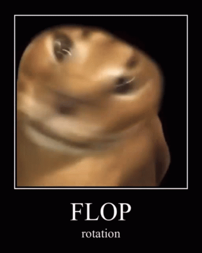 Flop Rotation Floppa GIF - Flop Rotation Floppa Big Floppa GIFs
