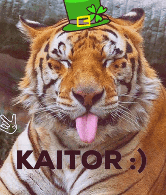 Tiger GIF Tiger Discover & Share GIFs