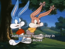 "Just Another Typical Day In Acme Acres" GIF - Cartoon Tinytoons Toons GIFs