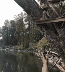dive jump fall jump rope lake dive jump fall jump rope lake