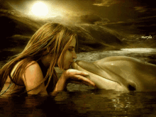 dolphin kiss sea