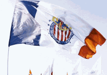 Bandera Chivas Logo Club Deportivo Guadalajara GIF - Chiva Campeon Futbol GIFs