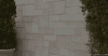 Wall Done GIF - Wall Done Fail GIFs