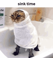 Cat Sink GIF - Cat Sink Cute GIFs