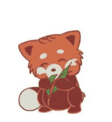 Red Panda Gif Red Panda Nom Discover Share Gifs