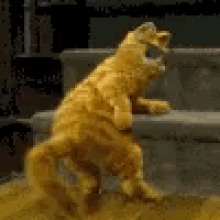 Garfield Dance GIF - Garfield Dance Flirt GIFs