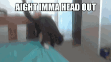 Aight Imma Head Out Cat GIF - Aight Imma Head Out Cat Leave GIFs