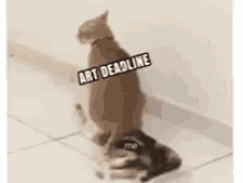 Art Deadlines Cat GIF - Art Deadlines Cat Dont Move GIFs
