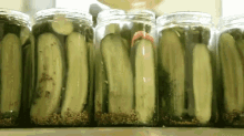 Making Pickles At Brooklyn Brine GIF - Pickles Brooklyn Brine Nyc GIFs